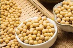 便攜式蔬菜農藥檢測儀檢測大豆農殘 便攜式蔬菜農藥檢測儀檢測大豆農殘
