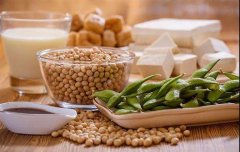 豆類食品農殘檢測使用蔬菜農藥檢測儀器 豆類食品農殘檢測使用蔬菜農藥檢測儀器