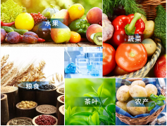 觸摸屏農(nóng)藥殘留檢測(cè)儀哪個(gè)品牌好 觸摸屏農(nóng)藥殘留檢測(cè)儀哪個(gè)品牌好